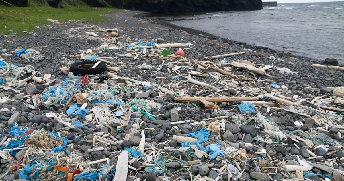ハワイ島からの切実な声 日本から海洋ゴミが流れてついてしまっている Sdgsナビ