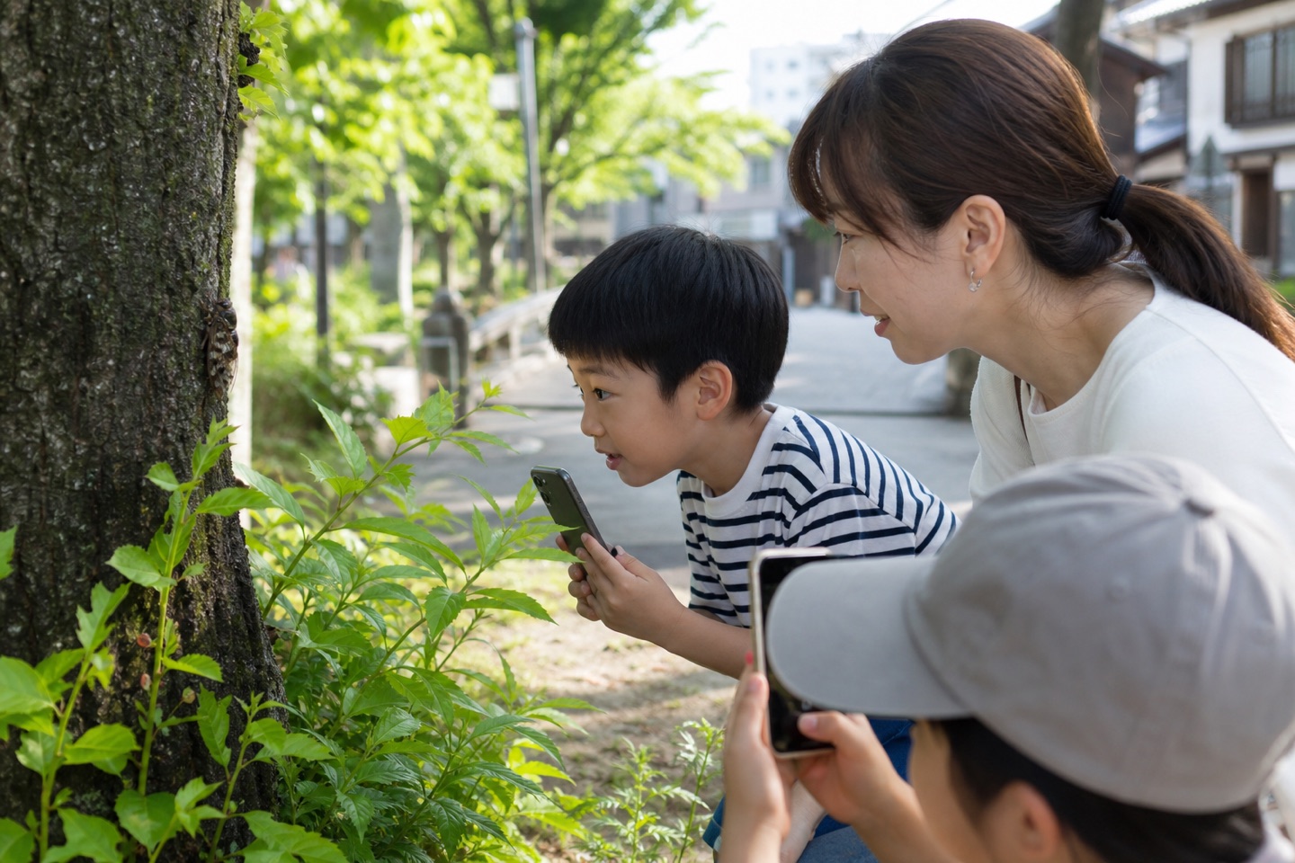 公園でスマートフォンを使い生きものを観察する市民