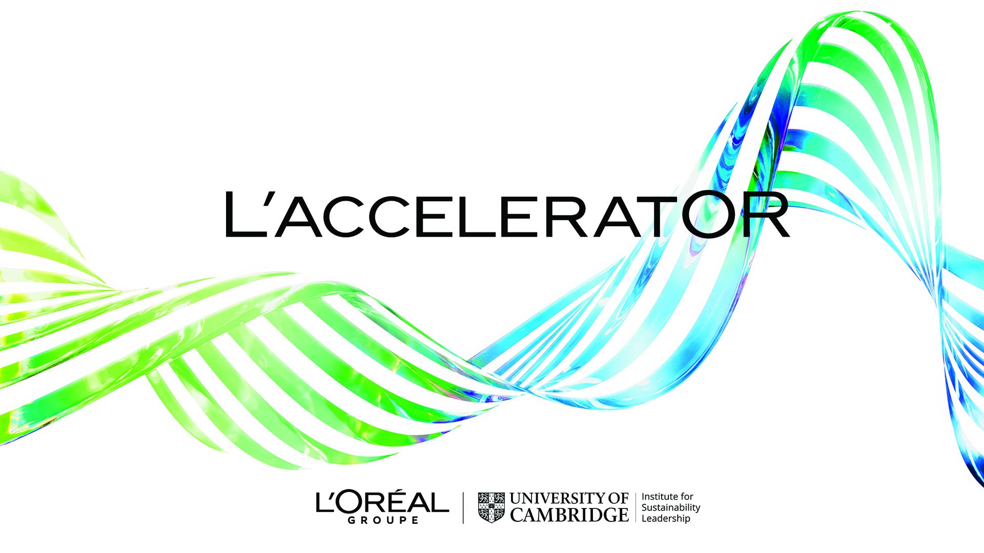ロレアル「L'AcceleratOR」第2期生13社決定、水技術も初選出で領域拡大の発表資料画像